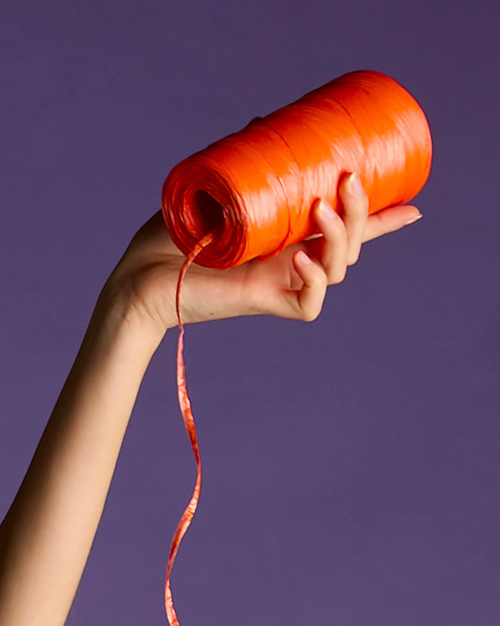 FETTUCCIA RAFIA LUCIDA 80(PP)20(PE-LD) CF.250 GR.