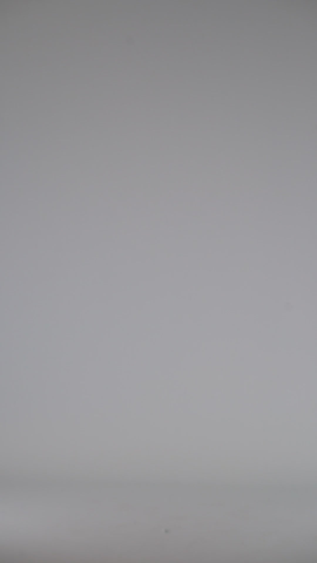 Video prodotto 437.04