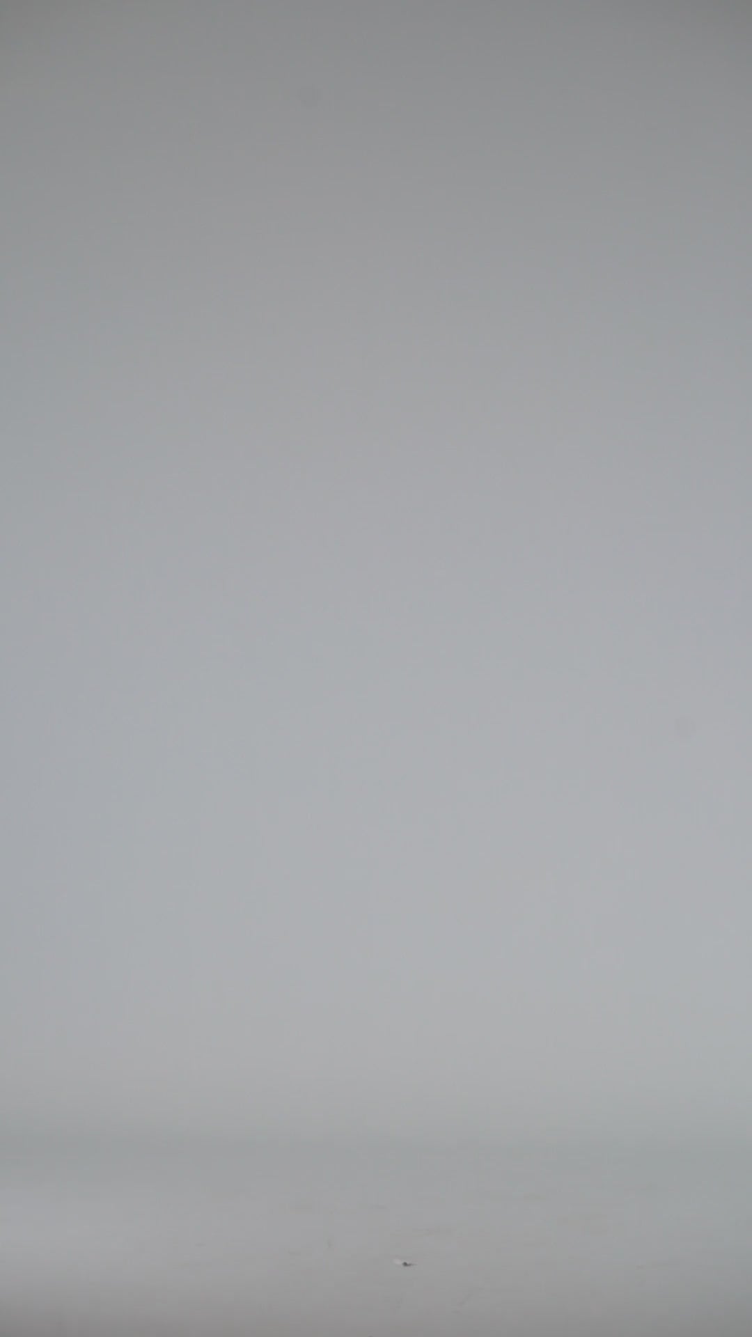 Video prodotto 0.453.01